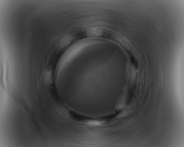 X0000086730224200704201652