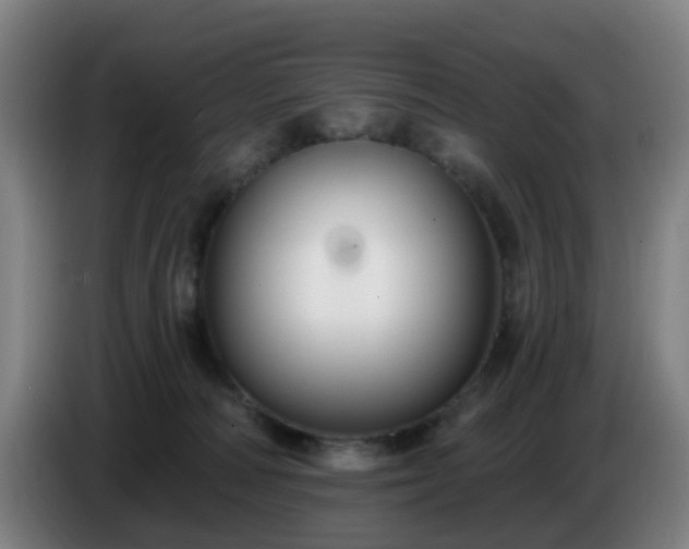 X0000086730226200704201652