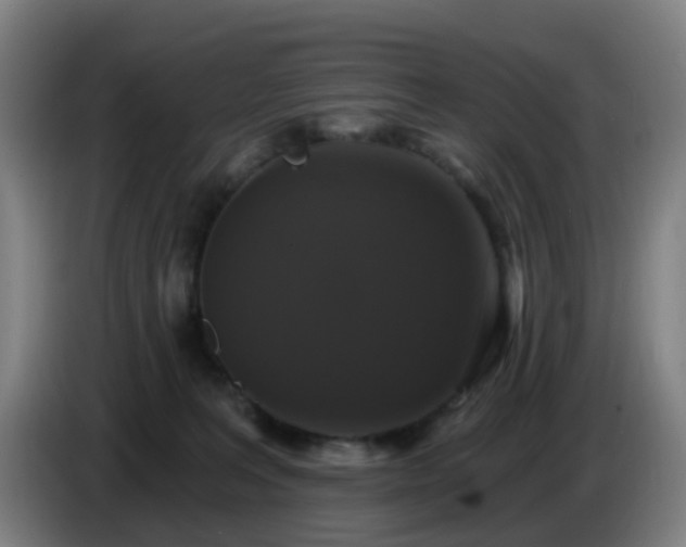 X0000086730227200704201652