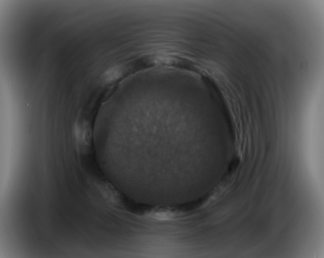 X0000086730228200704201652