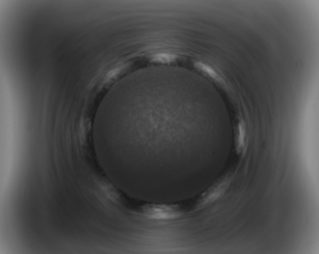 X0000086730229200704201652