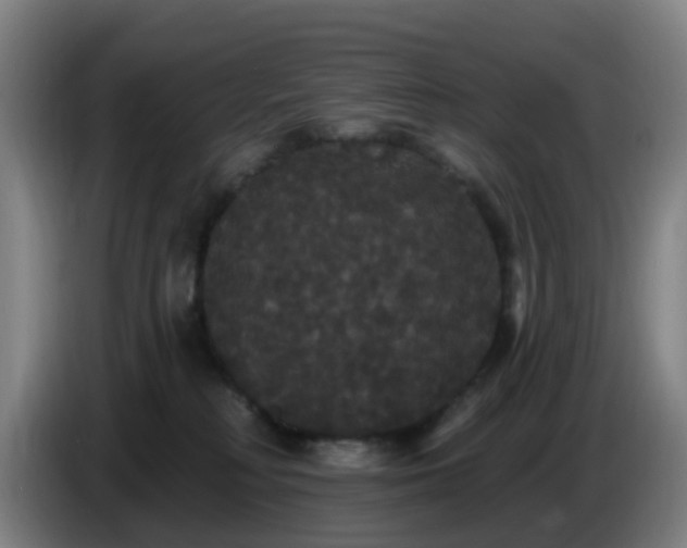 X0000086730230200704201652