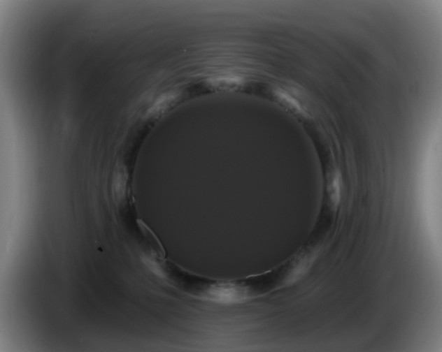 X0000086730231200704201652