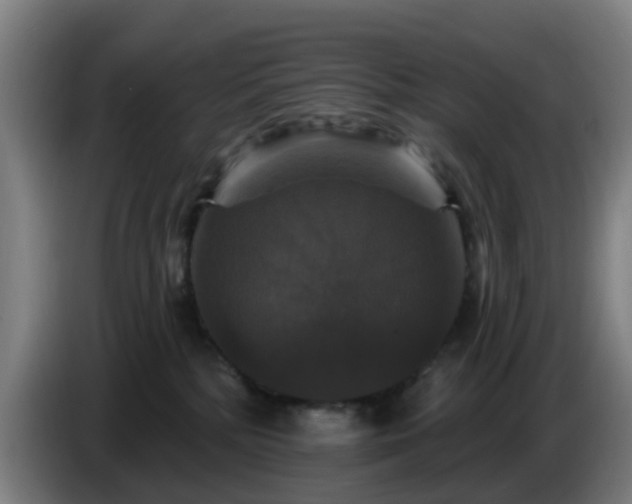 X0000086730232200704201652