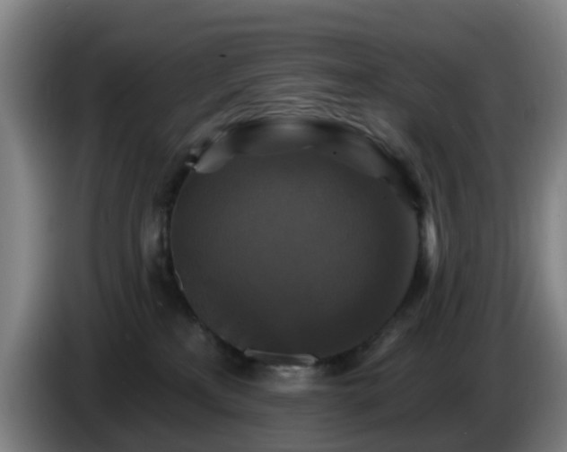 X0000086730233200704201652