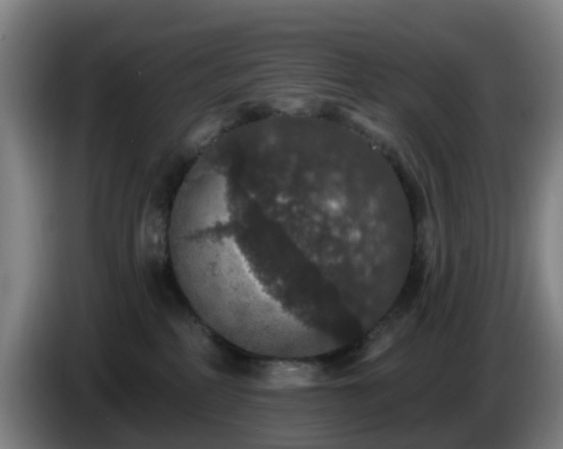 X0000086730234200704201652