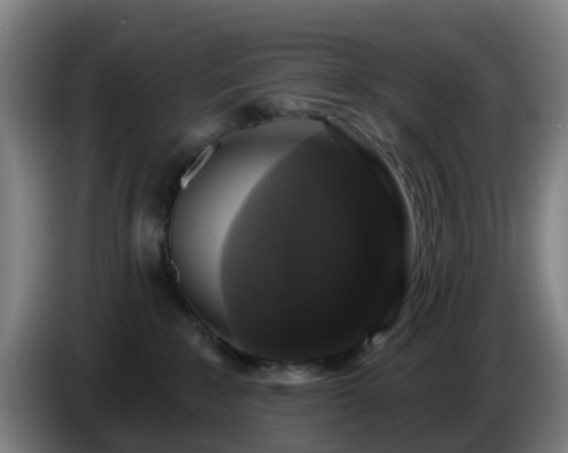 X0000086730235200704201652