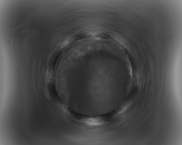 X0000086730236200704201652