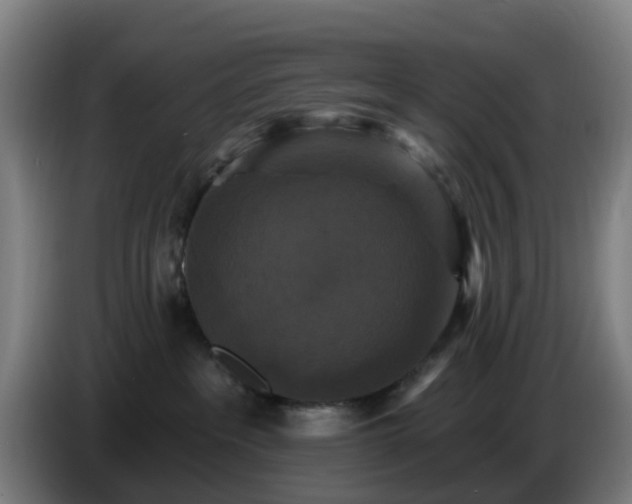 X0000086730237200704201652