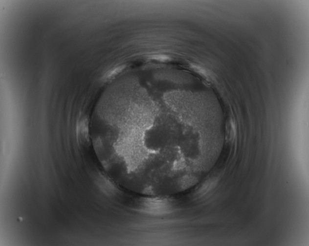 X0000086730238200704201652