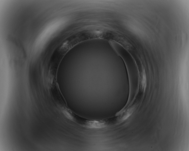 X0000086730239200704201652