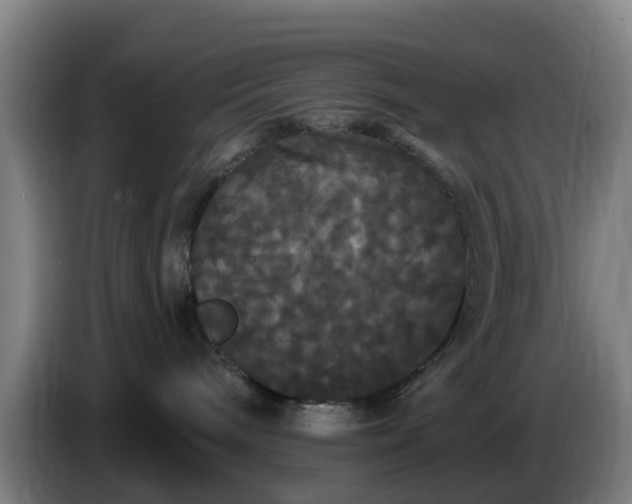 X0000086730240200704201652