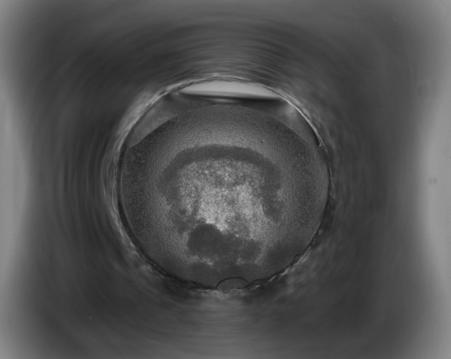 X0000086730241200704201651