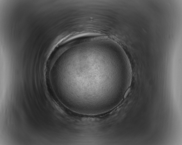 X0000086730242200704201651