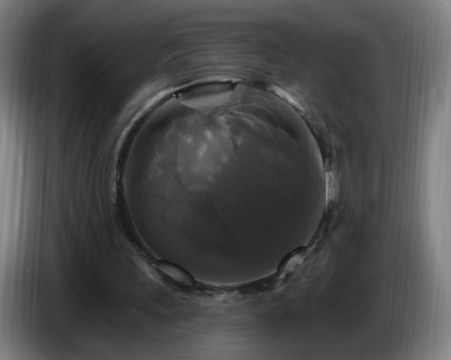 X0000086730243200704201651