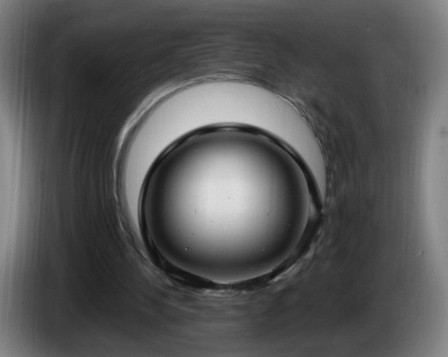 X0000086730244200704201651