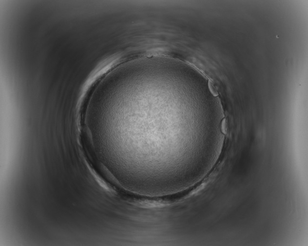 X0000086730245200704201652