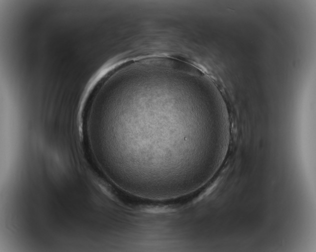 X0000086730246200704201652