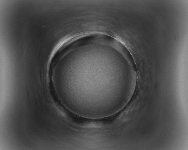 X0000086730248200704201652