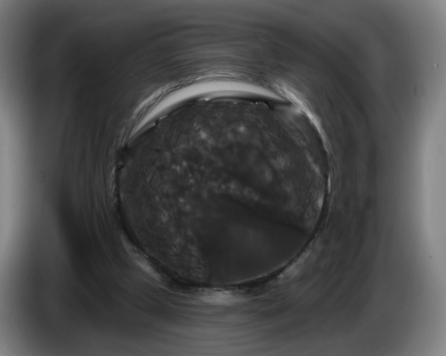 X0000086730249200704201652