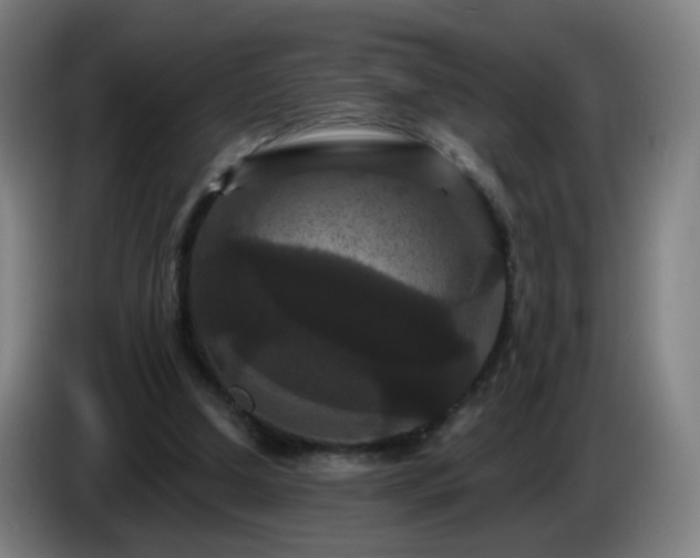 X0000086730250200704201652