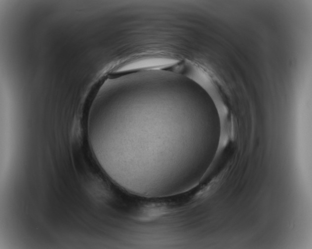 X0000086730252200704201652