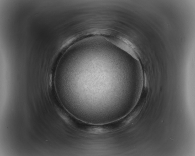 X0000086730253200704201652