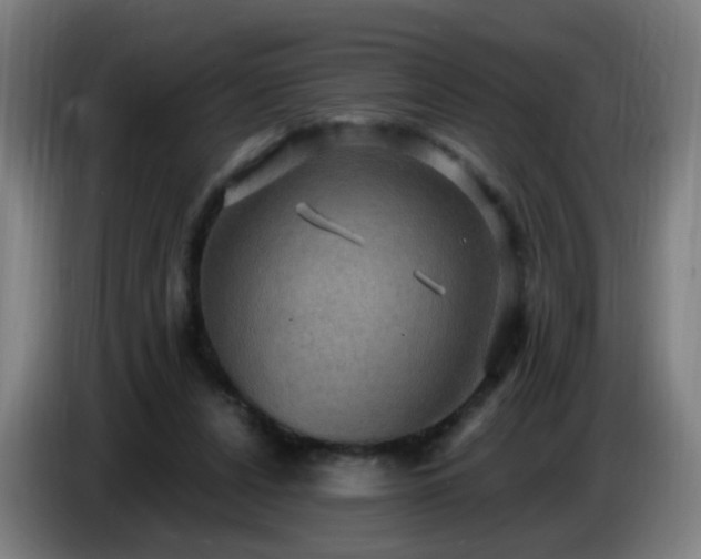 X0000086730256200704201652