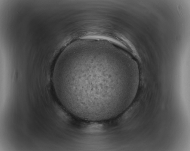 X0000086730257200704201652