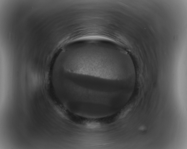 X0000086730258200704201652