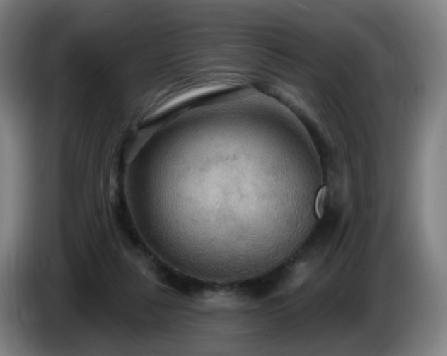 X0000086730259200704201652