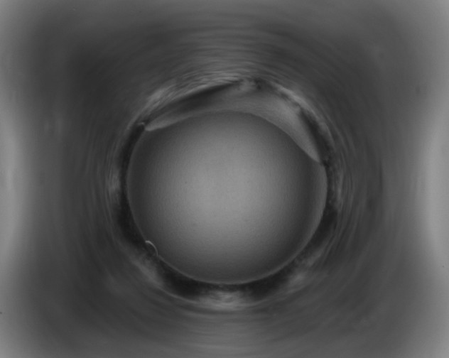 X0000086730260200704201652