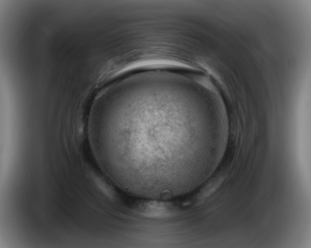 X0000086730261200704201652