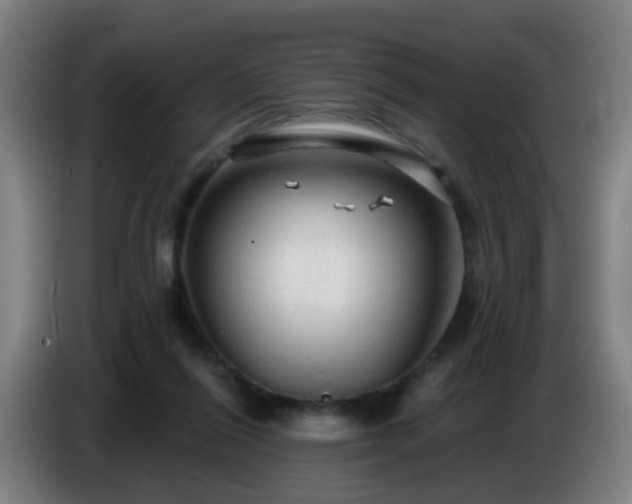 X0000086730262200704201652