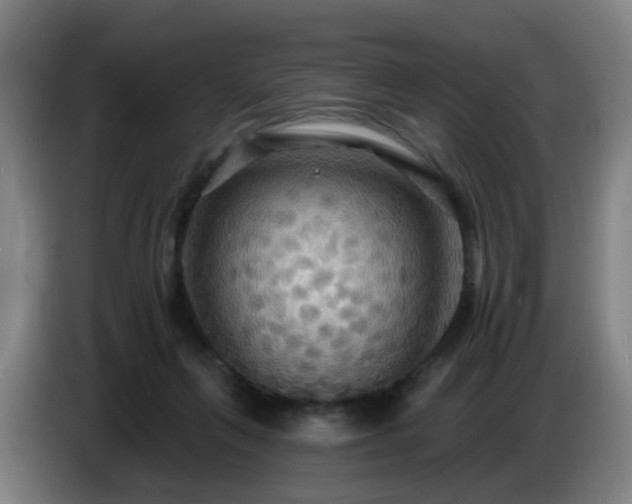 X0000086730263200704201652