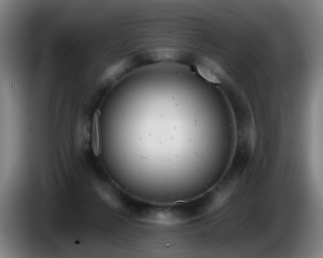 X0000086730264200704201652