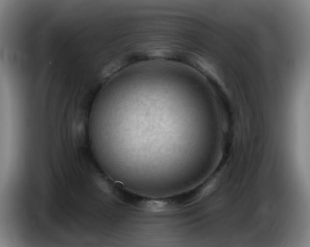 X0000086730265200704201652