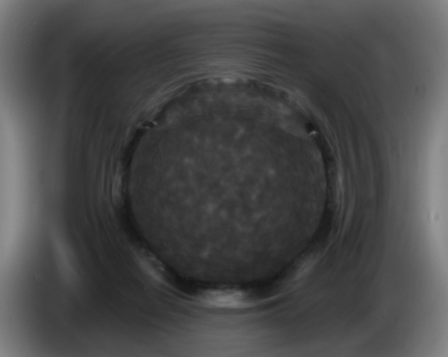 X0000086730266200704201652