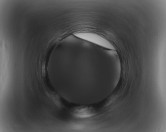 X0000086730267200704201652