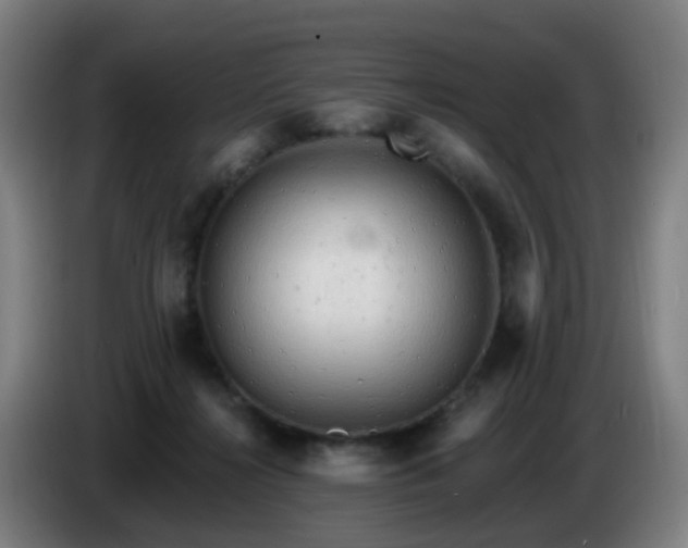 X0000086730268200704201652