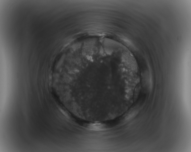 X0000086730269200704201652