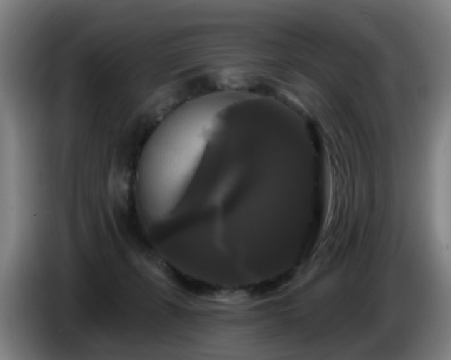 X0000086730271200704201652