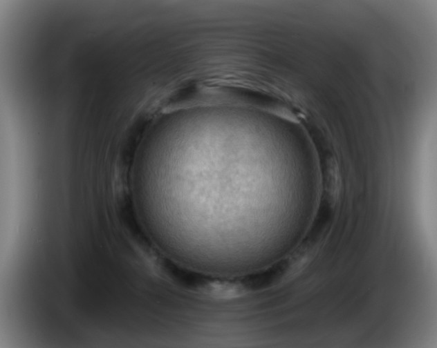 X0000086730272200704201652