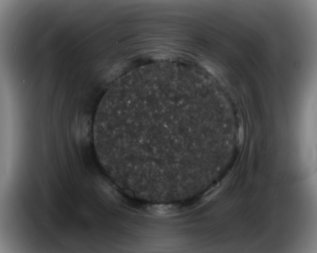 X0000086730273200704201652