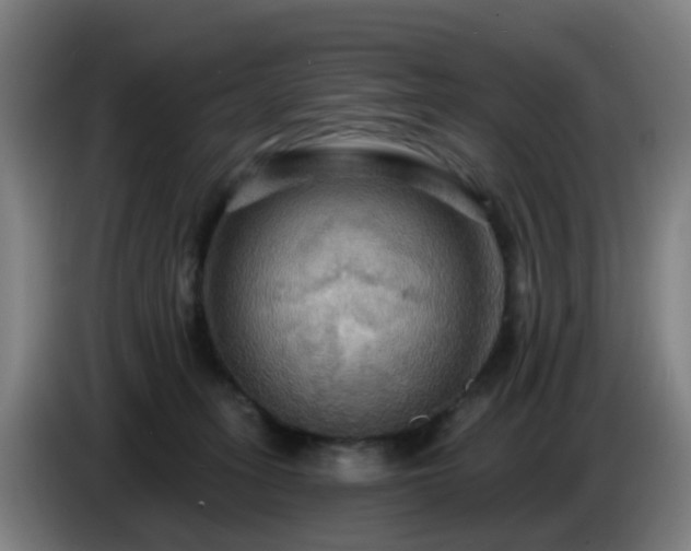 X0000086730275200704201652