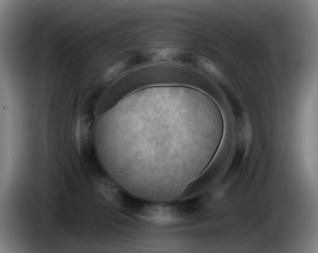 X0000086730276200704201652