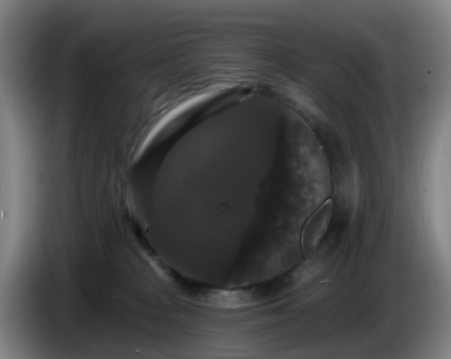 X0000086730277200704201652