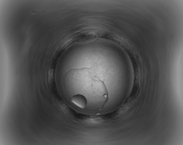 X0000086730278200704201652