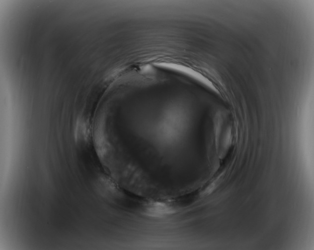 X0000086730285200704201652