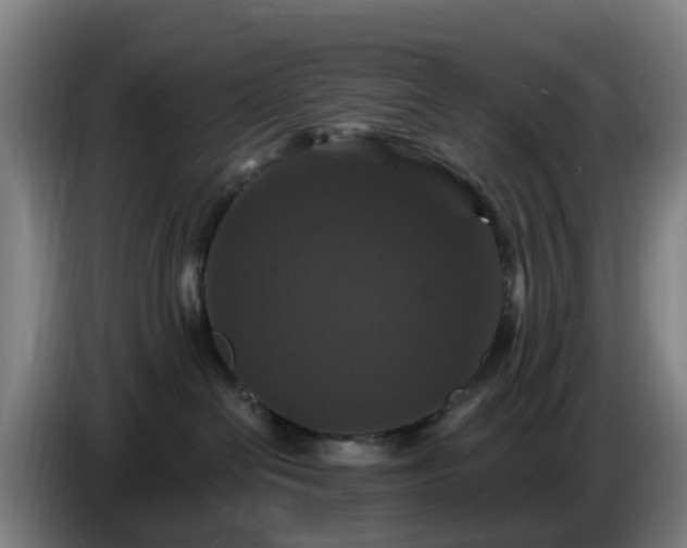 X0000086730286200704201652